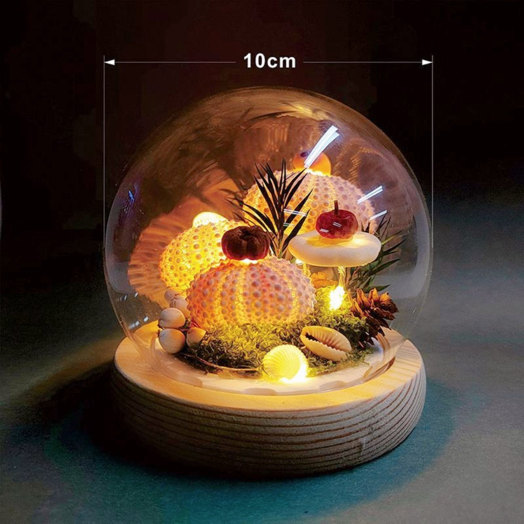 Handmade Natural Sea Urchin Shell Glass Dome Night Light 10cm Ocean Micro Landscape LED Warm Lamp Wooden Base USB Rechargeable Bedroom Decor Gift