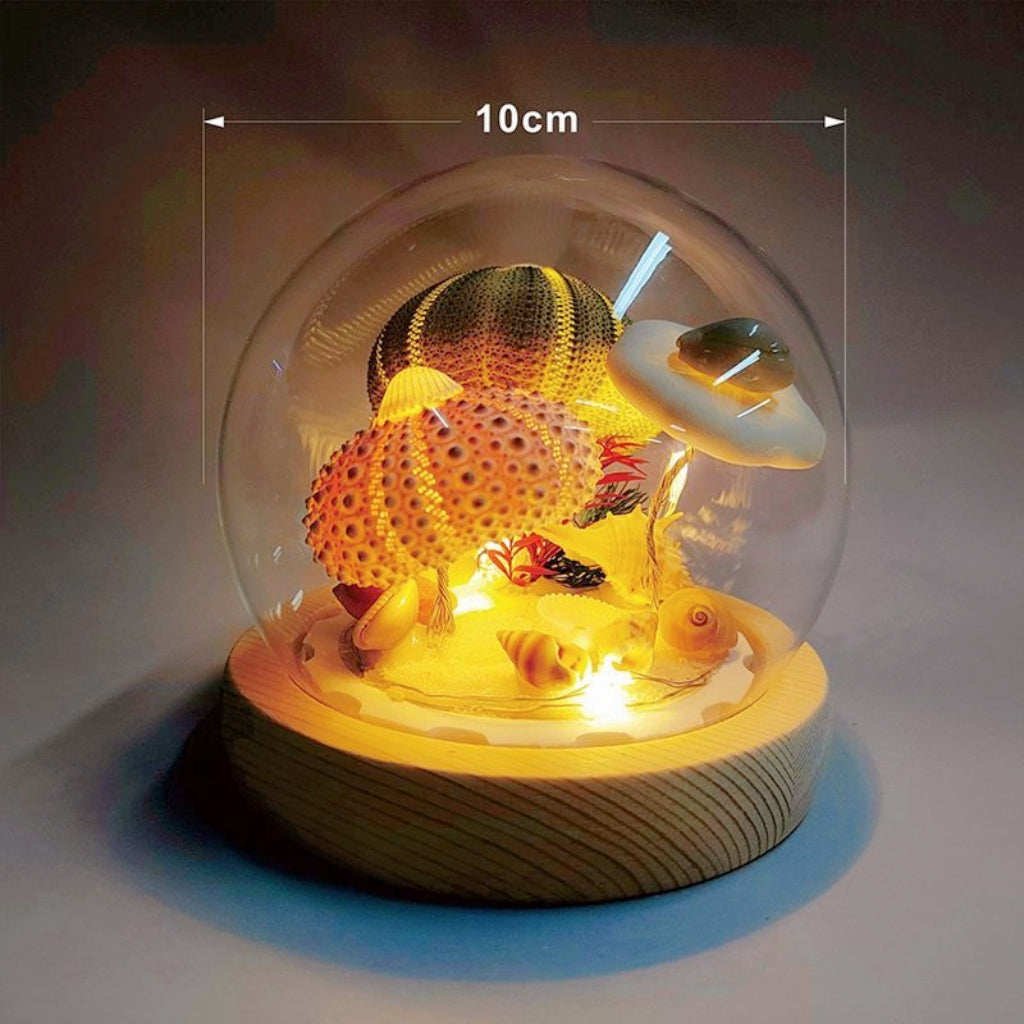 Handmade Natural Sea Urchin Shell Glass Dome Night Light 10cm Ocean Micro Landscape LED Warm Lamp Wooden Base USB Rechargeable Bedroom Decor Gift