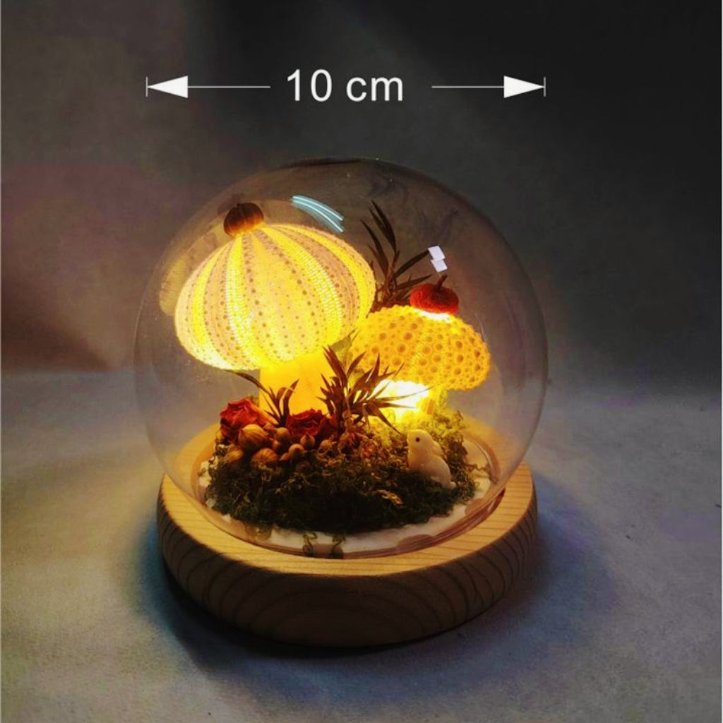 Handmade Natural Sea Urchin Shell Glass Dome Night Light 10cm Ocean Micro Landscape LED Warm Lamp Wooden Base USB Rechargeable Bedroom Decor Gift