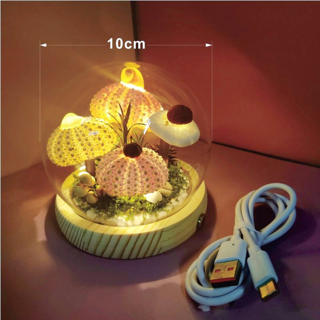 Handmade Natural Sea Urchin Shell Glass Dome Night Light 10cm Ocean Micro Landscape LED Warm Lamp Wooden Base USB Rechargeable Bedroom Decor Gift