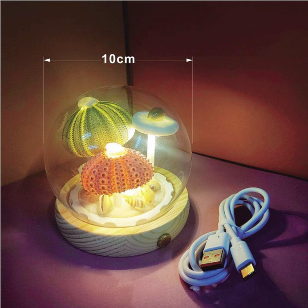 Handmade Natural Sea Urchin Shell Glass Dome Night Light 10cm Ocean Micro Landscape LED Warm Lamp Wooden Base USB Rechargeable Bedroom Decor Gift