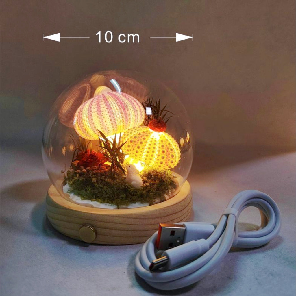 Handmade Natural Sea Urchin Shell Glass Dome Night Light 10cm Ocean Micro Landscape LED Warm Lamp Wooden Base USB Rechargeable Bedroom Decor Gift