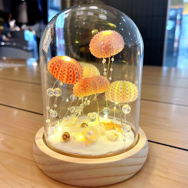 Handmade Natural Sea Urchin Shell Glass Dome Night Light 10cm Ocean Micro Landscape LED Warm Lamp Wooden Base USB Rechargeable Bedroom Decor Gift