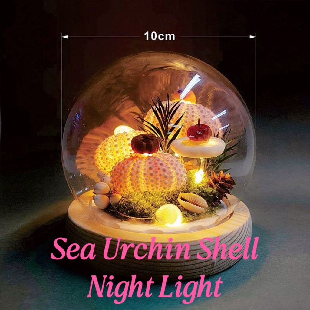 Handmade Natural Sea Urchin Shell Glass Dome Night Light 10cm Ocean Micro Landscape LED Warm Lamp Wooden Base USB Rechargeable Bedroom Decor Gift